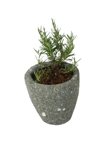 Product image 3 of the product “Planter, round, smooth, natural stone (Basanite), stonemasonry ”